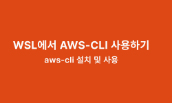 Featured image of post WSL에서 AWS-CLI 사용하기