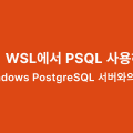 WSL에서 PSQL 사용하기