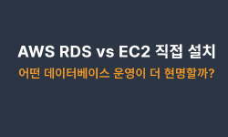 Featured image of post AWS RDS vs EC2 직접 설치