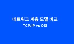 Featured image of post 네트워크 계층 모델 비교