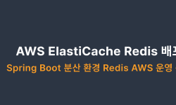 Featured image of post AWS ECS + ElastiCache Redis 배포