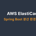 AWS ECS + ElastiCache Redis 배포